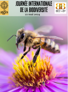 Une image avec en gros titre, Journée internationale de la biodiversité. Sur cette image on y voit une abeille sur une fleur